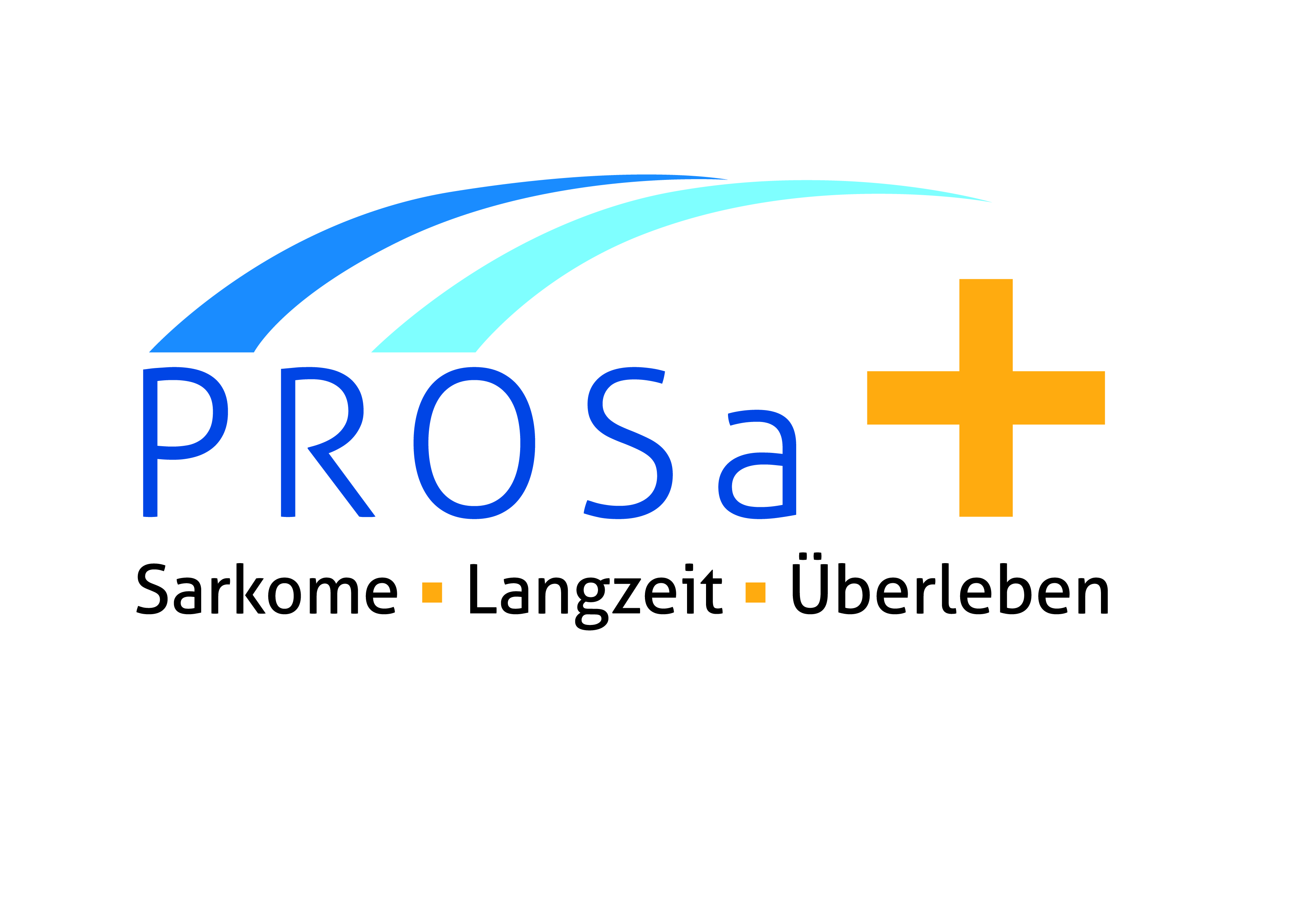 DSS 2025 PROSa logo RZ CMYK